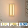 Aoceley 1-Pack 11000mAh Rechargeable Battery Operated Led Wall Scocnes,8W 3-Color