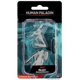 WizKids WK73830 D&D Nolzurs Marvelous Unpainted Miniatures: Wave 10: Female Human Paladin