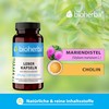 LEBER Kapseln mit Mariendistel & Cholinbitartrat – Mit Cholin zur