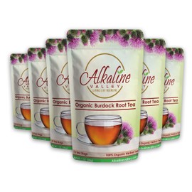 Burdock Root Tea Organic - 15 Unbleached/Chemical-Free Burdock Root Tea Bags - (Pack of 6) - Caffeine-Free, No GMO