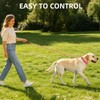 PUPTECK Chain Dog Leash Chew Proof, 2-in-1 Reflective with Soft