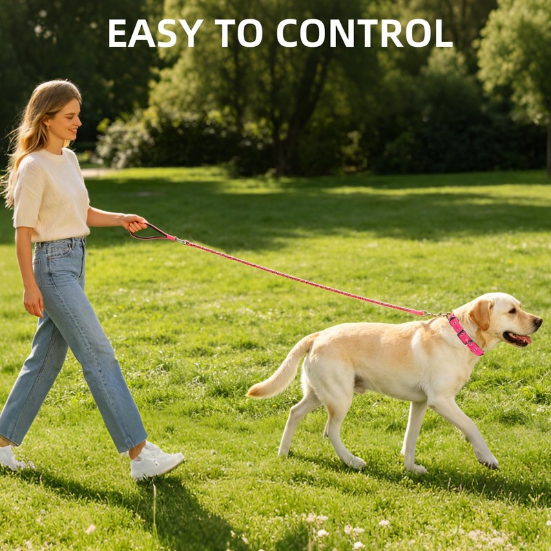 PUPTECK Chain Dog Leash Chew Proof, 2-in-1 Reflective with Soft