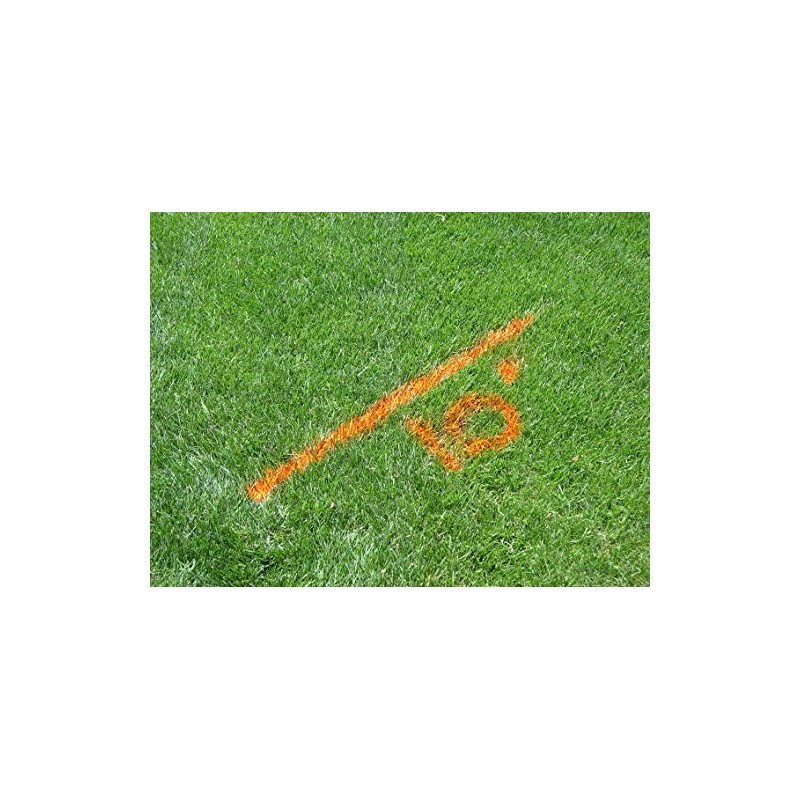 Rust-Oleum 206043 Industrial Choice AF1600 Athletic Field Inverted Striping Paint,