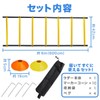 USK STORE Ladder Training Marker Cones Set of 10 Storage