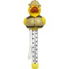 Poolmaster Safari Duck Swimming Pool and Spa Thermometer, 25301