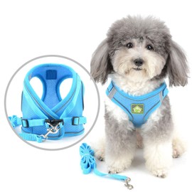 Zunea Small Dog Harness and Lead Set No Pull Puppy Vest Harnesses Adjustable Reflective Soft Mesh Step-in Pet Cat Harness Escape Proof for Walking, Bright Colors for Dogs Girl Boy Lightblue M