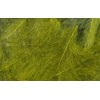 Hareline Dubbin Fishing Hook - 1/0, CDC (Cul de Canard)