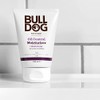 Bulldog Bulldog hidratante de control de aceite (crema hidratante) 100