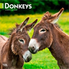 BrownTrout Donkeys | 2026 12x24" (Hanging) Monthly Square Wall Calendar | Plastic-Free