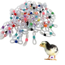 100 Pcs Adjustable Chicken Leg Bands, Newly Hatched Chick Spraddle Leg Hobble Splay for 1-3 Days Chick Ducks Birds