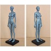 Human Body Musculoskeletal Anatomical Model for Study and Teaching (30CM4)