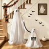 Paquete de 2 decoraciones de Halloween para interiores de perros