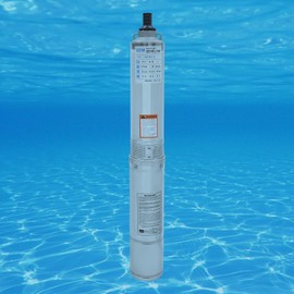 Deep Well Pump, Electric Submersible Bore Hole Deep Well Pump Stainless Steel Submersible Well Pumps Agricultural Irrigation Pump for Villages, Homes, Farms (115V 0.75KW 1HP)