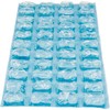 Igloo 1 lb. Natural Ice Cubes