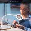 Brightech LightView Pro Flex 2 in 1 Magnifying Desk Lamp,