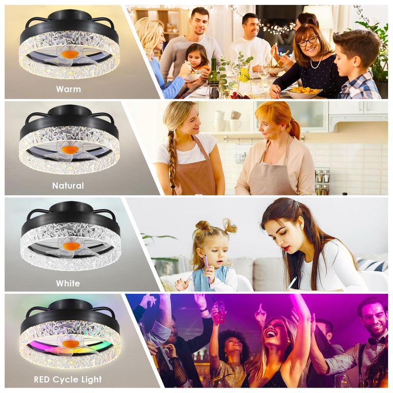 Mpayel RGB Ceiling Fans with Lights and Remote, 13'' Low