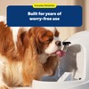 PetSafe Drinkwell Premium Replacement Carbon Filters - Improves Water Taste