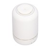 30ML Essential Oil Diffuser LED Aromatherapy Diffuser with Timer Silent