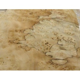 Pimento Pepperwood Burl Wood Veneer 10" x 16" raw Veneer no Backing 1/42" Thick