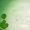 Dr. Jart+ 닥터자르트 시카페어 마스크팩 진정 수분팩 보습 10매 Dr.
