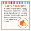 Little Twig All Natural, Hypoallergenic Baby Conditioning Detangler, Happy Tangerine