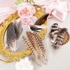 40pcs Natural Pheasant Feathers Bulk Spotted Feathers 5 Styles Mixed