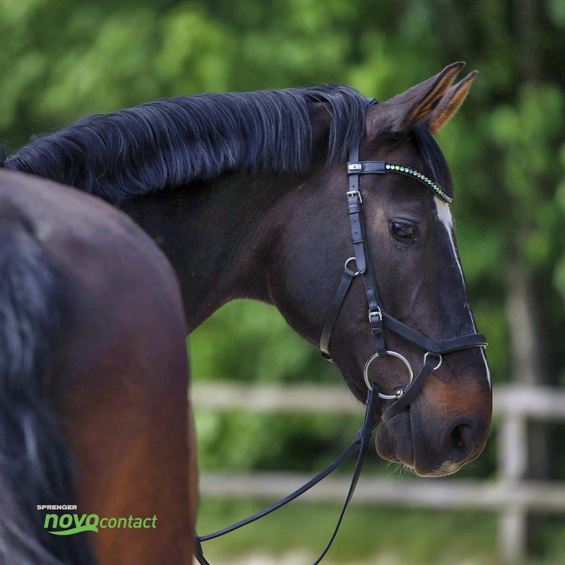 Sprenger Nocontact Water Snaffle I Horse Bit 14 mm Simply