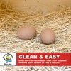 Cackle Hatchery Laying Hen Nest Box Pads Made in USA