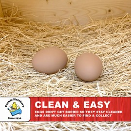 Cackle Hatchery Laying Hen Nest Box Pads Made in USA from Sustainable Aspen Exceslior - 13x13 Nesting Box Liners (6-Pack)