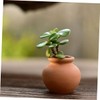 BESPORTBLE 2sets Terracotta Pots Set Small Clay Pots for Succulents