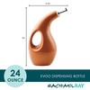 Rachael Ray 48466 Ceramic EVOO Oil and Vinegar Dispensing Bottle