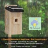 Camii Bird House with Camera, 5MP Smart Birdhouse Camera with