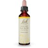 Bach Flower Essences Wild Oat Avena Silvestre 20 ml (0,7 oz. líq.)