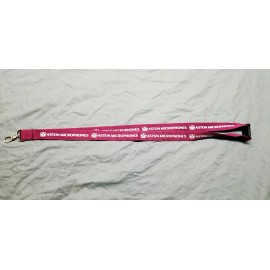Aston Microphones Lanyard & Pin