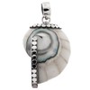 White Nautilus OCean Shell 925 Sterling Silver Pendant, 1 5/8"