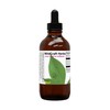 Wildcraft Herbs Wildcraft Herbs Teasel Herb Tincture Extract 4 oz