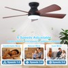 Depuley Modern Ceiling Fan with Light: 42-Inch Black Small Fans