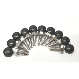 Brock's Visor Parts (10) Lund Cab Sun Moon Visor Mounting Hardware Stainless Screws & Paintable Caps