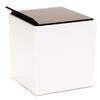 Butterfly Plastic Tissue Case
