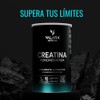 VALARA Creatina Monohidratada de Máxima Pureza