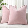 decorUhome Spring Couch Throw Pillow Covers Valentine's Day 18x18 Set
