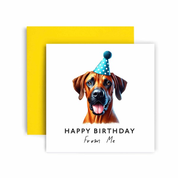 Huxters Birthday Card from the Dog – Rhodesian Ridgeback -