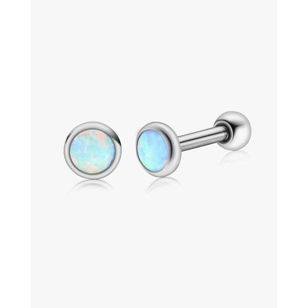 Fashtour Hypoallergenic G23 Implant Grade Titanium Stud Earrings, Screw Back
