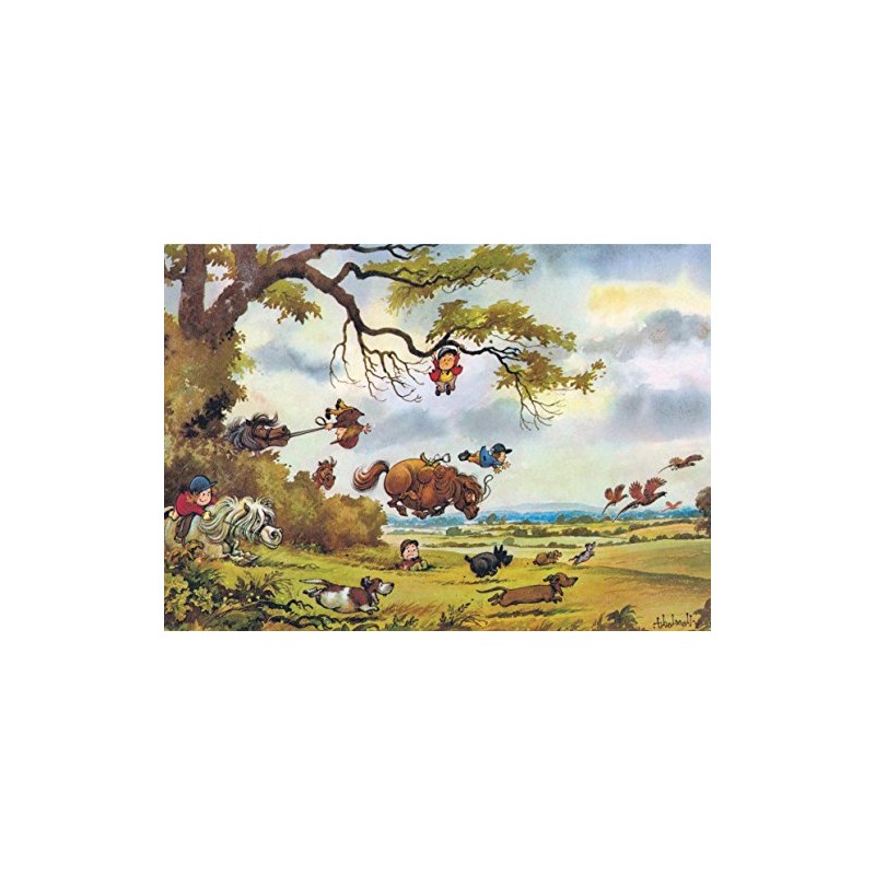 Thelwell Horse or Pony Greeting Card Free Flight