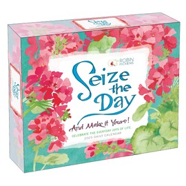 Seize the Day 2025 Boxed Daily Desk Calendar by Robin Pickens
