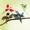 Decorative Hummingbird Set of 3 Green 18 cm with Real
