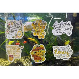 Pack 6 Proverbs 16 24 Kind Words are Like Honey Sweet to The Soul Bible Verse, Christian Sticker 3 Inch Waterproof Vinyl Decals