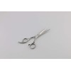 Professional Hair Cutting Scissors