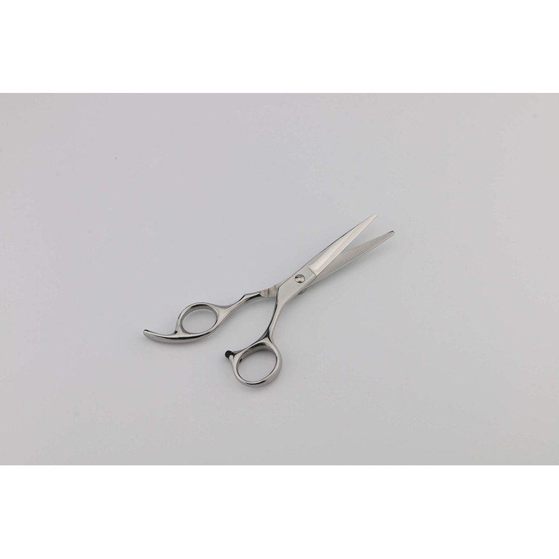 Professional Hair Cutting Scissors