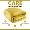 Lions Fleece Throw Blanket - 100% Polyester, Ultra Soft Faux
